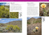 TREES & SHRUBS OF THE PACIFIC NORTHWEST - TURNER. MARK